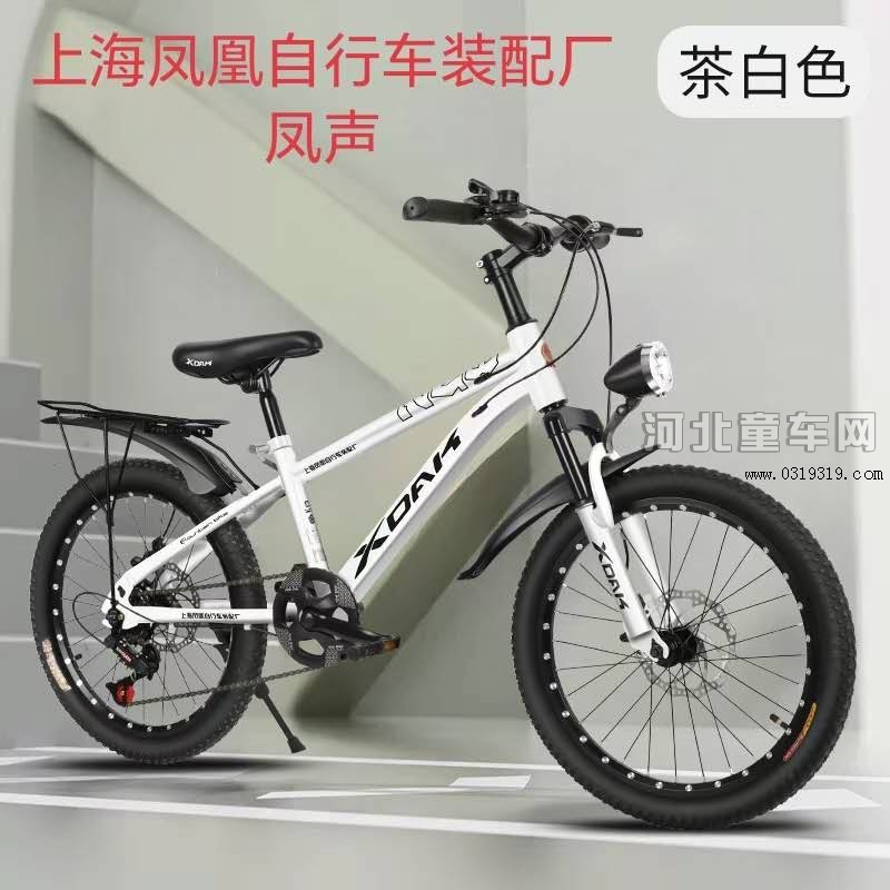 河北童车产品图片